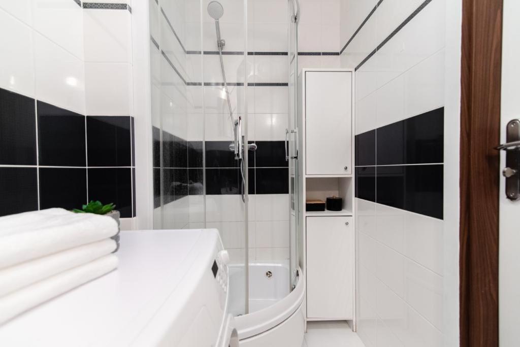 Okrzei Apartment Plock